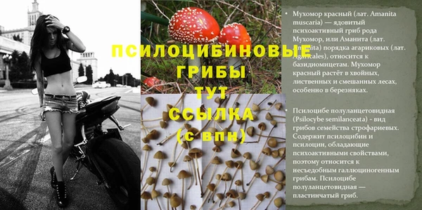 наркотики Аркадак